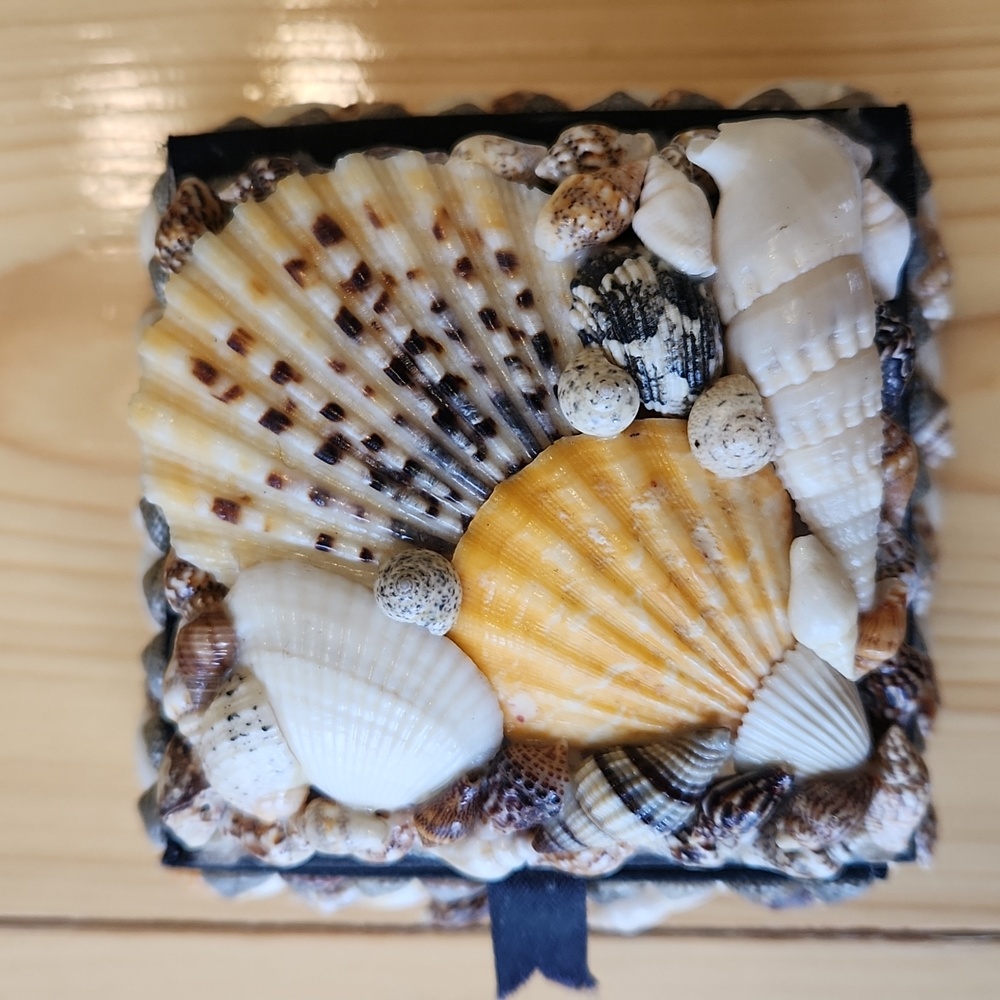 Sea Shell Box Trinkets Jewelry - Picture 3 of 12